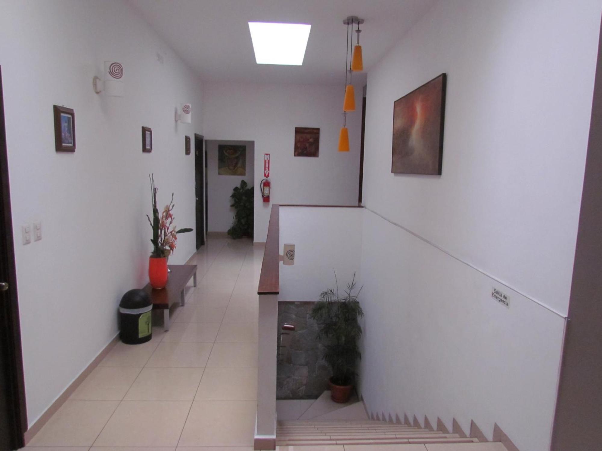 Hotel Arbol De Suenos San Salvador Dış mekan fotoğraf